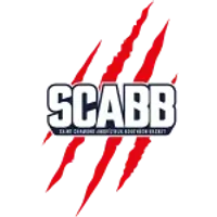 Saint-Chamond Andrézieux Bouthéon Basket